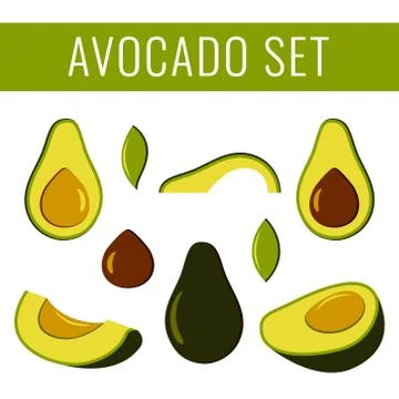 Bright vector set of avocado elements. Isolated on white background. Stock Illustration