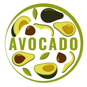Bright vector set of avocado elements. Isolated on white background. Card wit Stock Illustration