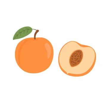 Bright vector set of colorful half and whole of juicy peach. Fresh cartoon Stock Illustration