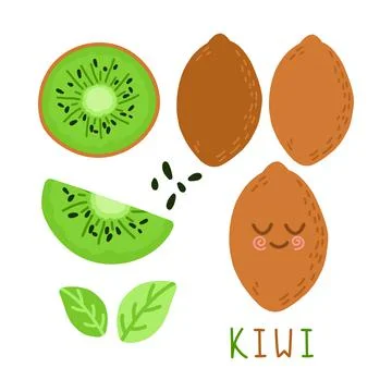 Bright vector set of colorful half, slice and whole of fresh kiwi Stock Illustration
