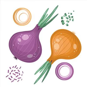 Bright vector set of red and yellow onions. Fresh cartoon vegetables isolated Stock Illustration