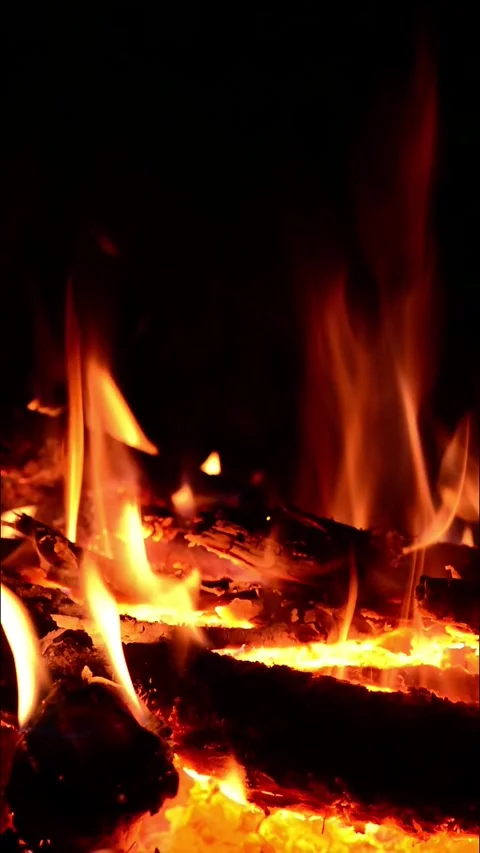 Bright vertical fire flames rising over glowing wood logs closeup Stock Footage 345716423