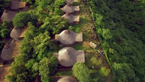 Bright video Aerial lush trees in a beautiful lodge in Ethiopia Stock Footage