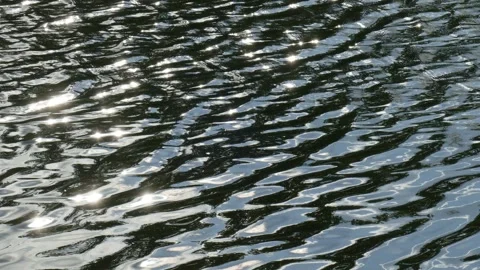 Bright water surface, Germany Stock Footage 256069572