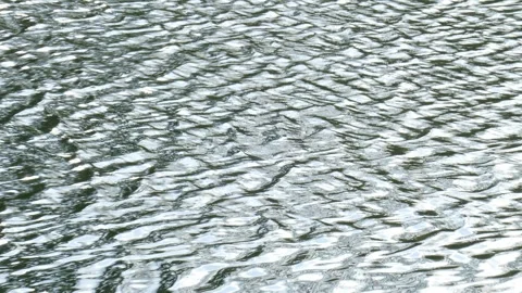 Bright water surface, Germany Stock Footage 256069580