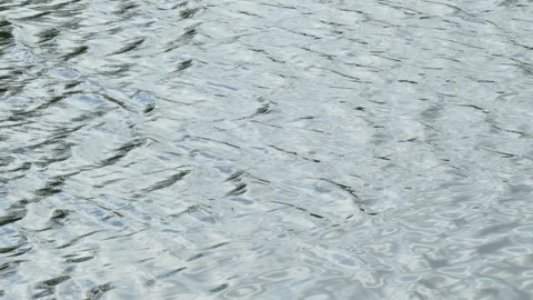 Bright water surface, Germany Stock Footage 256069581