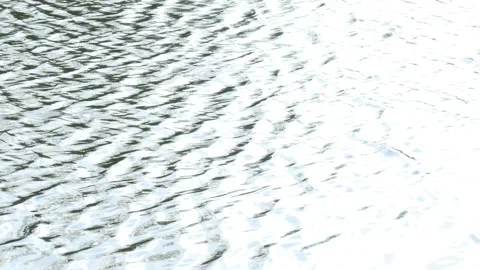 Bright water surface, Germany Stock Footage 256069595