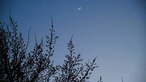 Bright white crescent moon in the clear evening sky Stock Footage 238469894