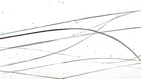 Bright White Grunge Ink Scratch Texture With Hand Drawn Lines Vídeos de archivo 335893249