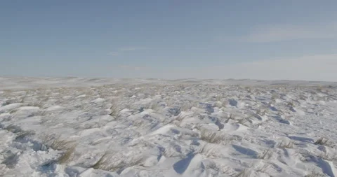Bright windblown winter grassland in Oregon Stock Footage 332378693