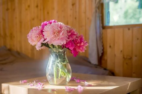 A bright window with flowers, a cup of coffee and a book on the windowsill Stock Photos
