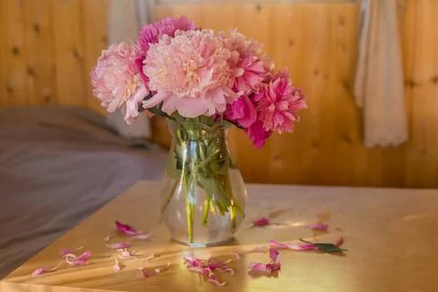A bright window with flowers, a cup of coffee and a book on the windowsill Stock Photos