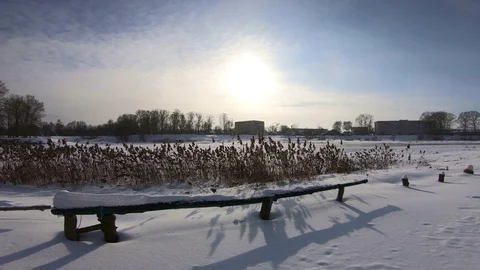 Bright winter day Stock Footage 86553369