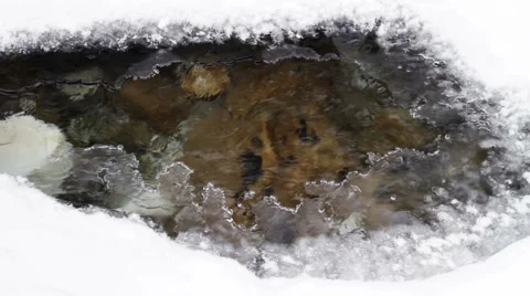 Bright winter day. Forest brook. Krasnoyarsk region. Siberia. Russian Federation 库存影片 63629630
