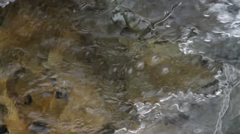 Bright winter day. Forest brook. Krasnoyarsk region. Siberia. Russian Federation 库存影片 63629636