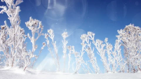 Bright Winter Scenery Background Loop 스톡 동영상 141112997