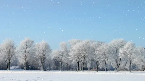Bright Winter Scenery Background Loop Vídeos de archivo 141113243