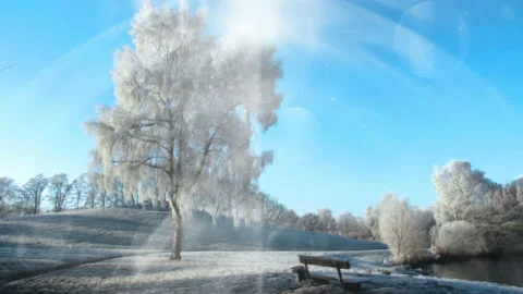 Bright Winter Scenery Background Loop Stock-Footage 141113743