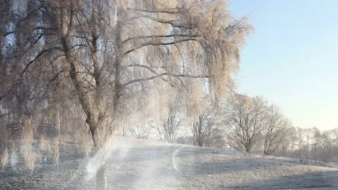Bright Winter Scenery Background Loop Stock Footage 141114751