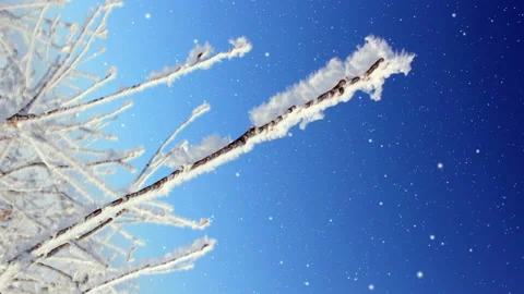 Bright Winter Scenery Background Loop Video stock 141115474