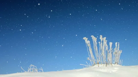 Bright Winter Scenery Background Loop 库存影片 141116486