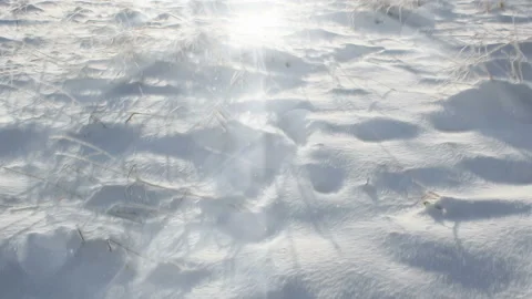 Bright Winter Scenery Background Loop 스톡 동영상 141132532