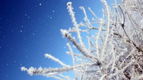 Bright Winter Scenery Background Loop Vídeos de archivo 141133009