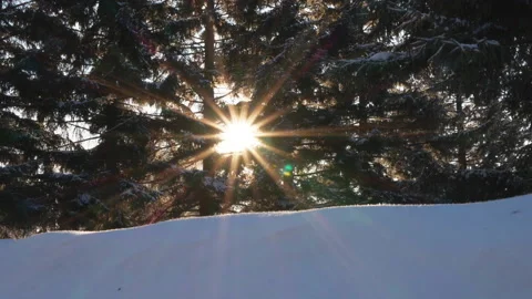 Bright winter sun Видео 167644682