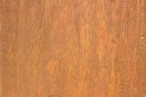 Bright wood texture background surface Stock Photos