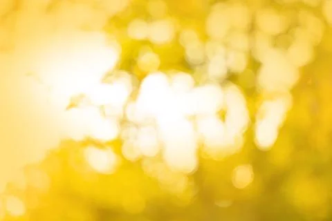 Bright yellow and red trees fall bokeh background 스톡 사진