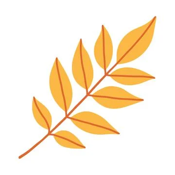 Bright yellow ash leaf branch vector illustration isolated on white. Ideal for イラスト素材