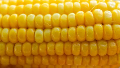 Bright yellow buttered corn cob background Stock Photos