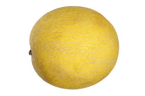 Bright yellow canary melon surface texture with ripeness identification crack Stock Photos