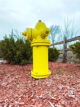 Bright yellow fire hydrant standing in a park with trees Stock Photos