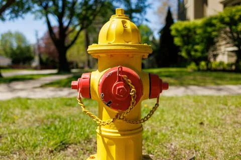 Bright yellow fire hydrant stands in a green yard near a sidewalk under cle.. Photos