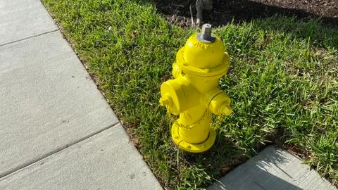 Bright yellow fire plug in the ground Stock-Fotos