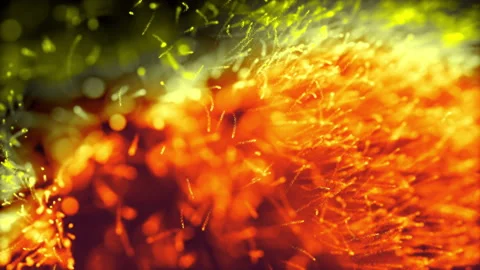 Bright yellow fireflies Stock Footage 152253003