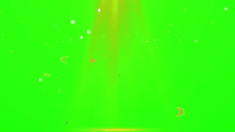 Bright Yellow Fireworks Exploding Against Green Screen Background Stock Footage 337454017