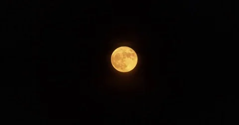 Bright Yellow Full Moon in Night Sky Video stock 77782052