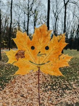 A bright yellow-orange maple leaf with carved eyes, a nose and a smile in the Stock Photos