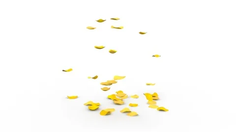 The bright yellow petals of roses falling down on white floor Stock Footage 103175860