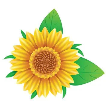 Bright yellow sunflower Illustration
