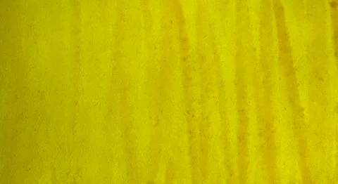 Bright yellow watercolor solid abstract background, Vintage template  스톡 일러스트