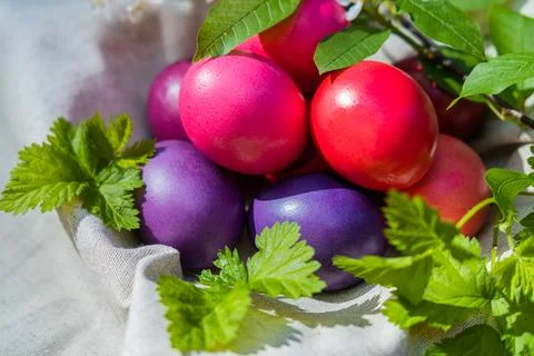 Brightly Colored Easter Eggs Nestled in Green Foliage Stock Photos