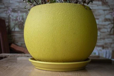 Brightly colored flower pot in the shape of a ball, garden supplies, close up Stock Photos