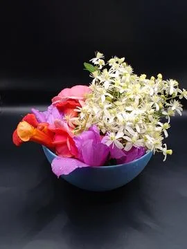 Brightly colored flowers Stock Photos