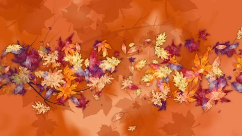 Brightly colored oak and maple leaves from a twirling and falling tree branch. Stock Footage 252085461