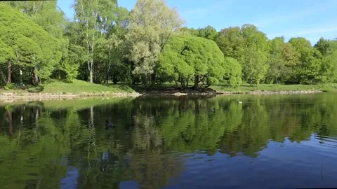 Brightly green trees are reflected in a mirror lake. Perfect background. Nobody Stock Footage 90565838