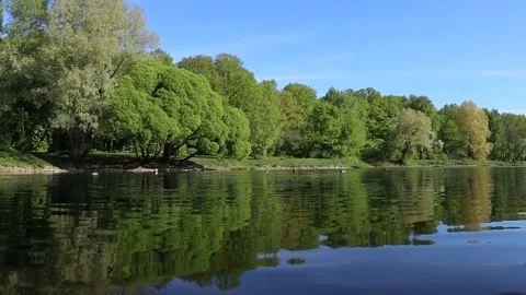 Brightly green trees are reflected in a mirror lake. Perfect background. Nobody Stock Footage 90565900