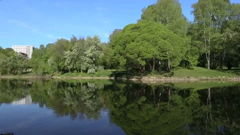 Brightly green trees are reflected in a mirror lake. Perfect background. Loop Stock Footage 90566107